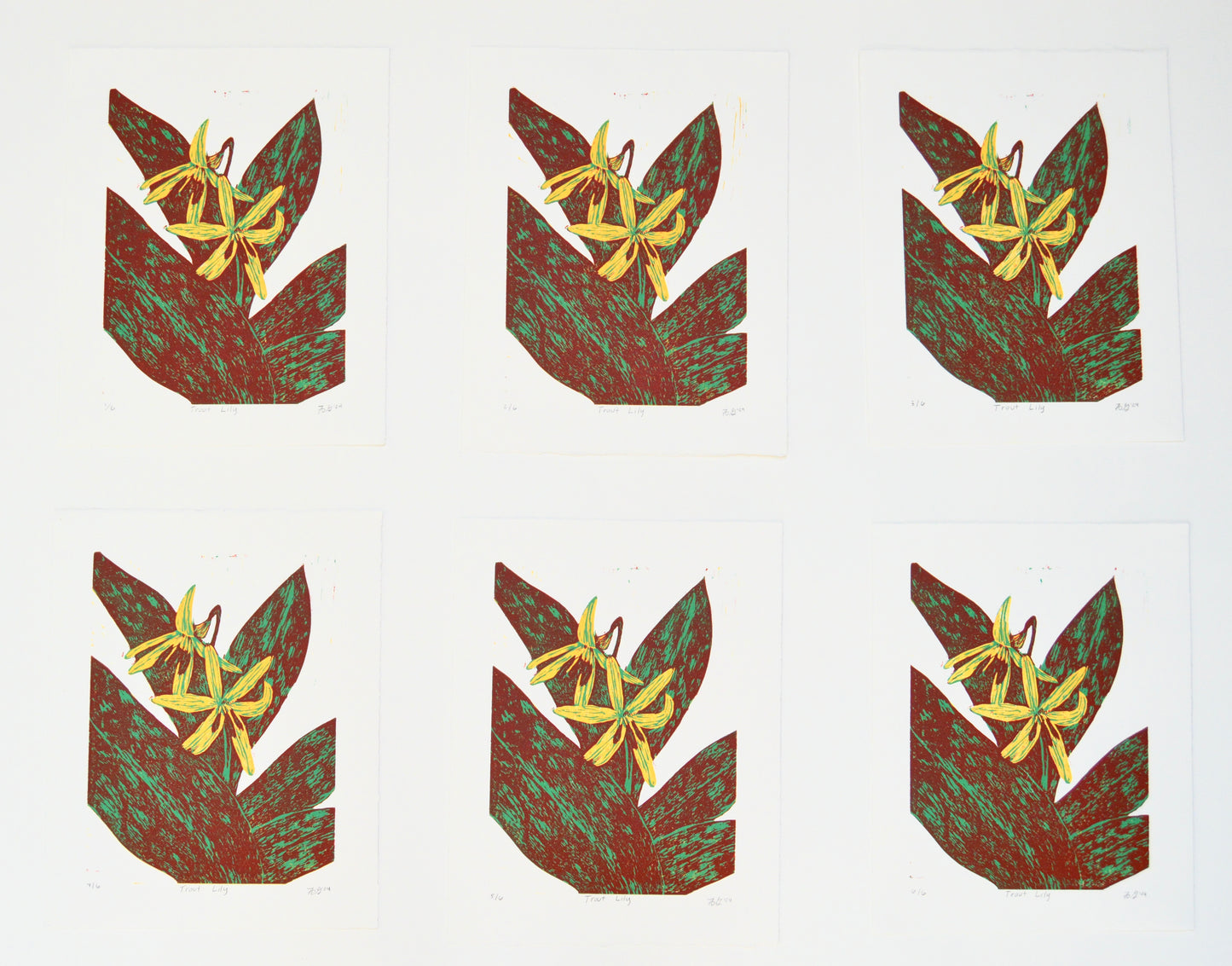 Trout Lily Reduction Print