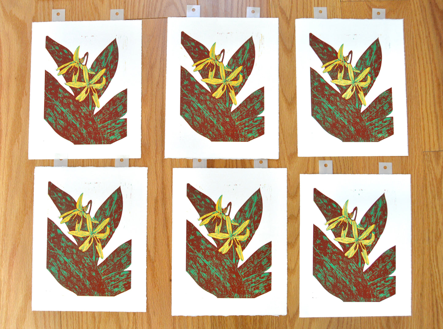 Trout Lily Reduction Print