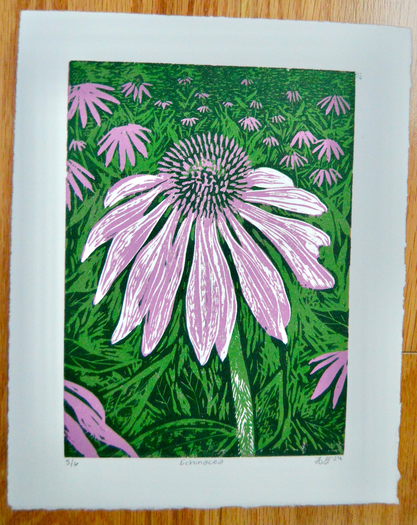 Echinacea Reduction Print