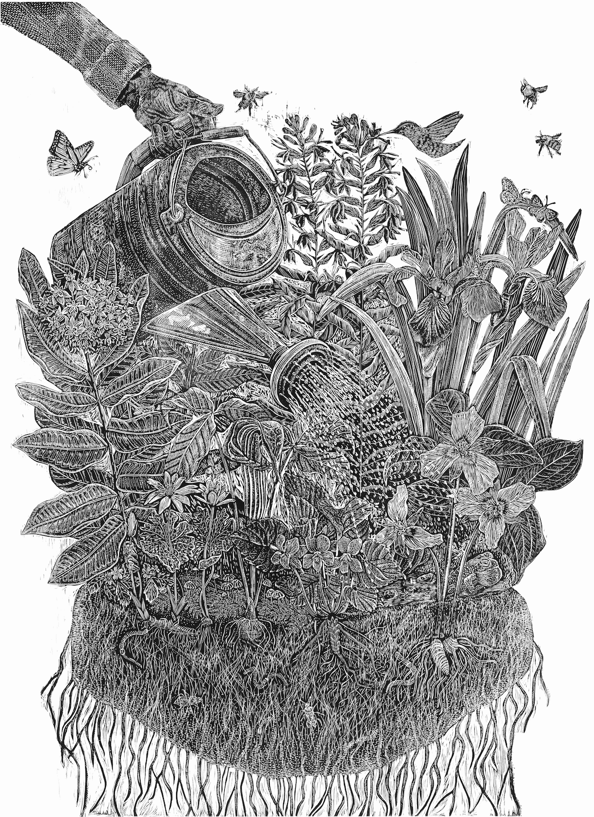 Symbiosis