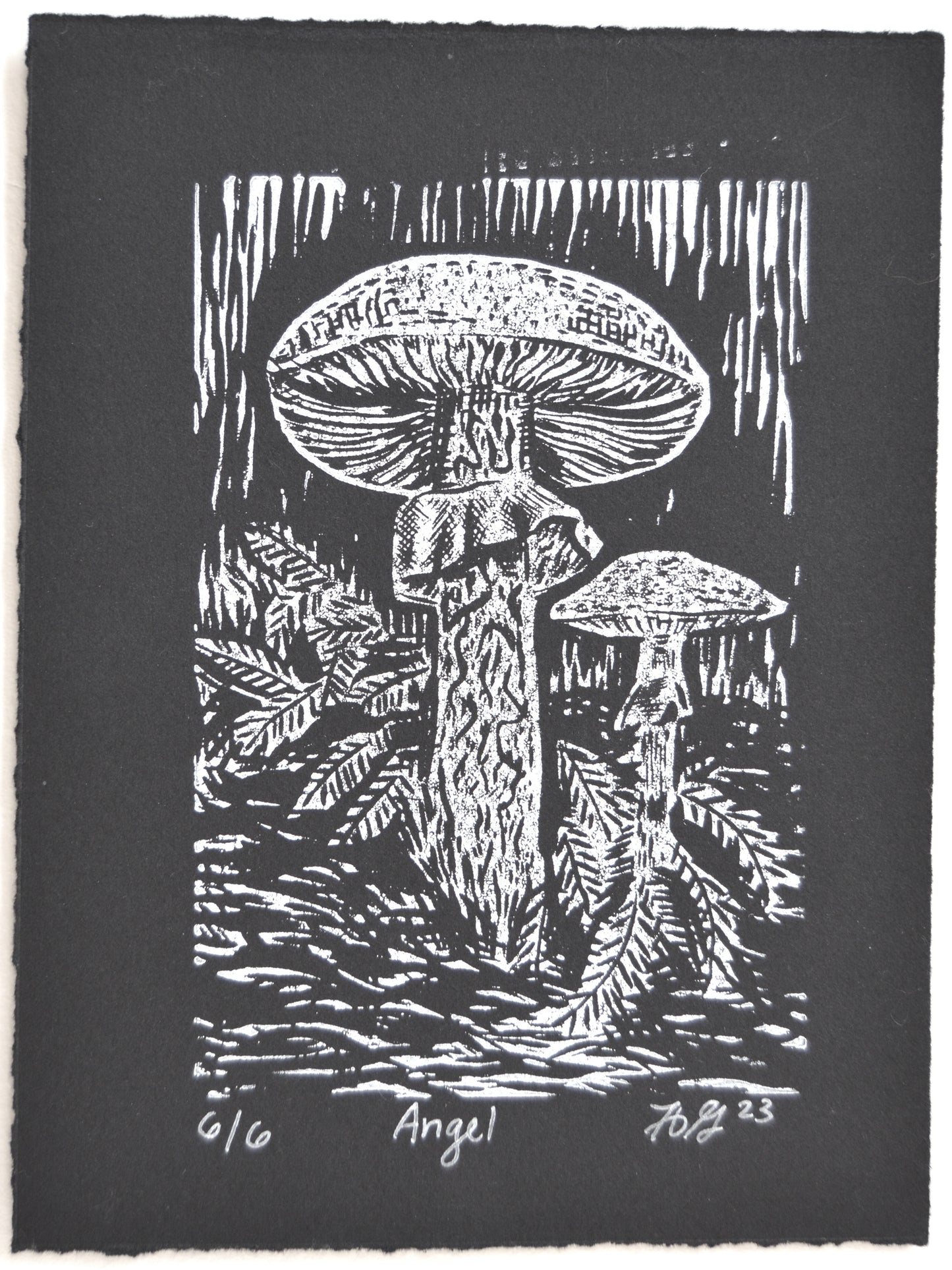 Angel Mushroom