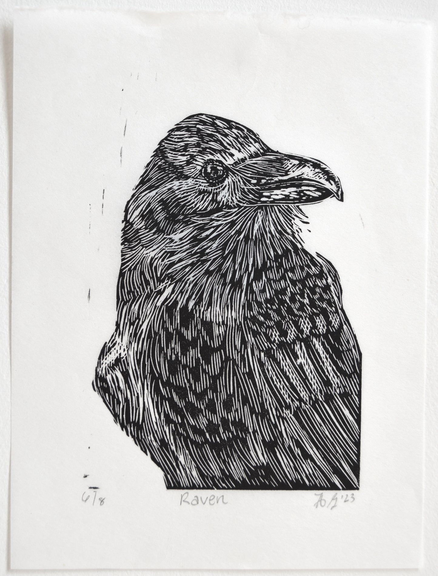 Raven Relief Print