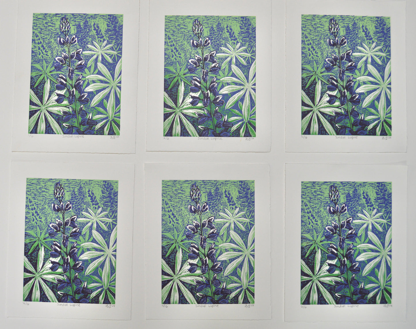 Sundial Lupine Reduction Print