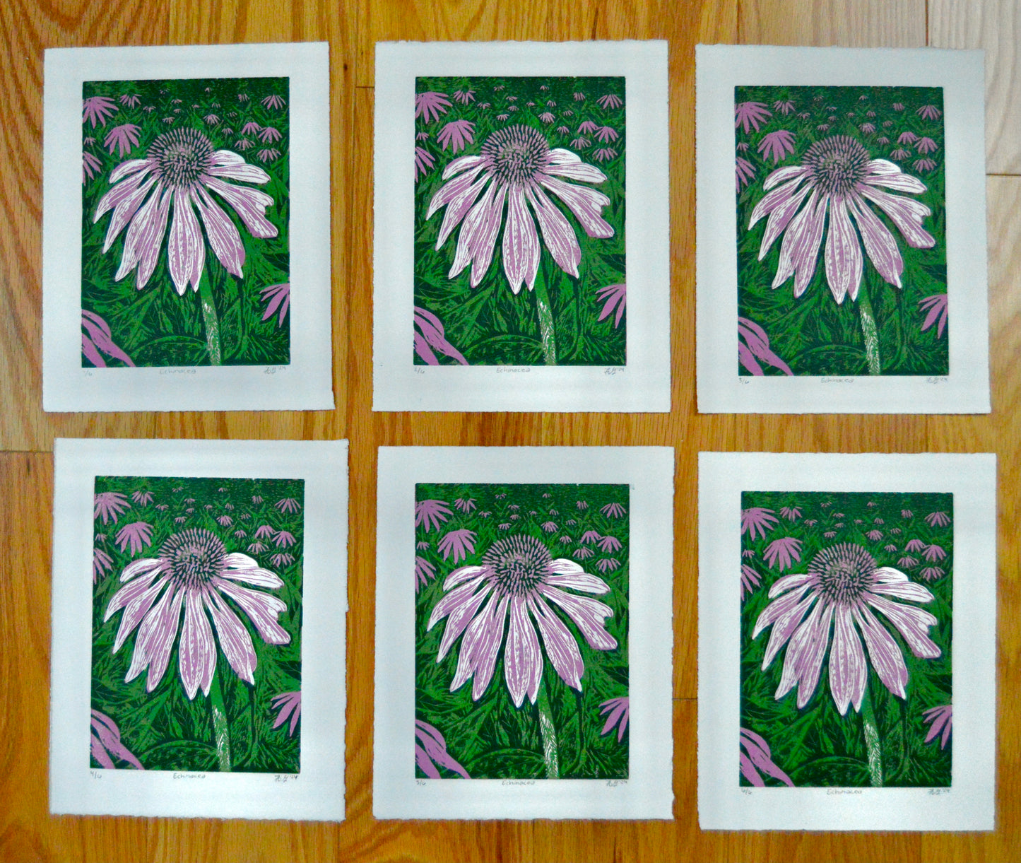 Echinacea Reduction Print