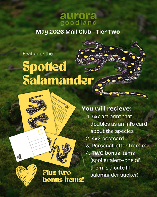 Art Mail Club - Tier Two
