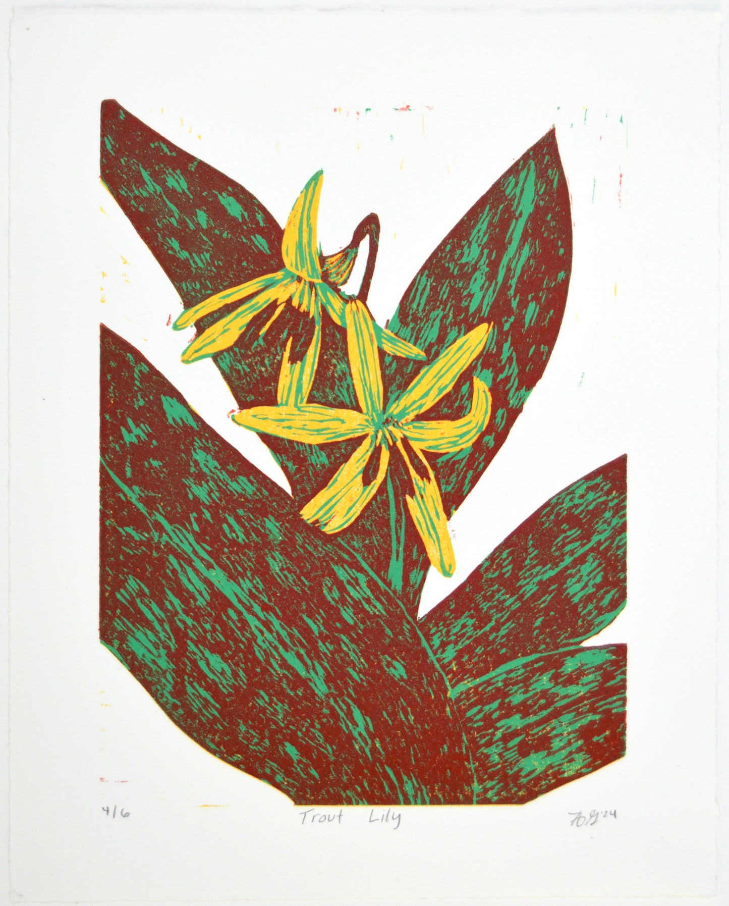 Trout Lily Reduction Print