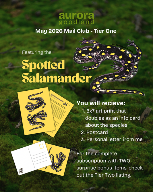 Art Mail Club - Tier One