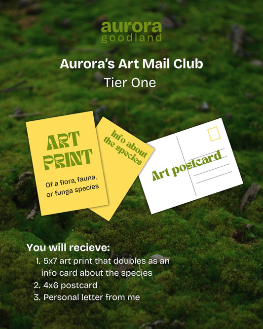 Art Mail Club - Tier One