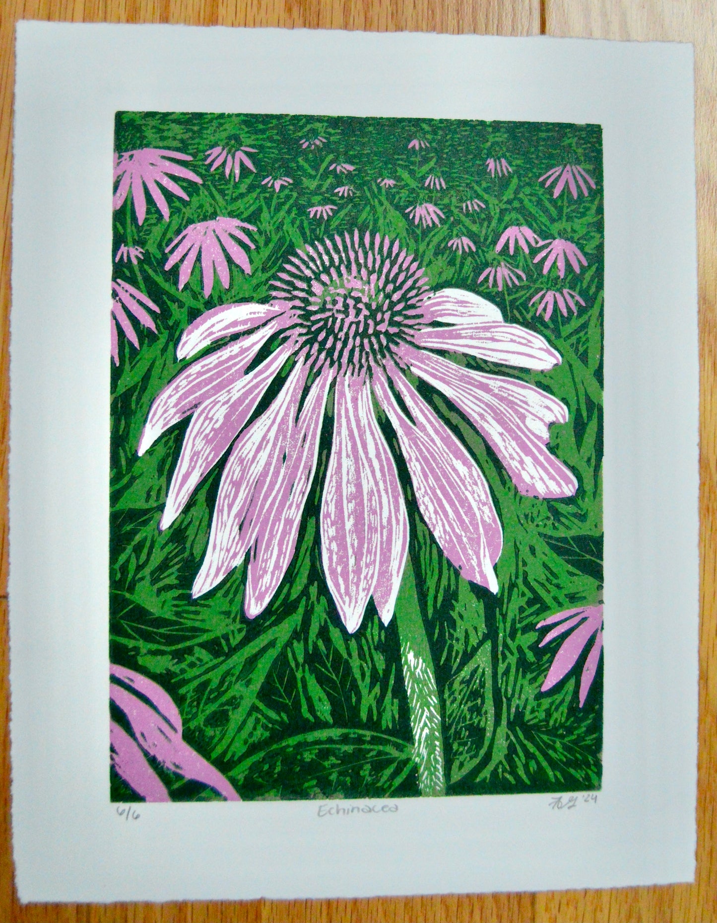 Echinacea Reduction Print