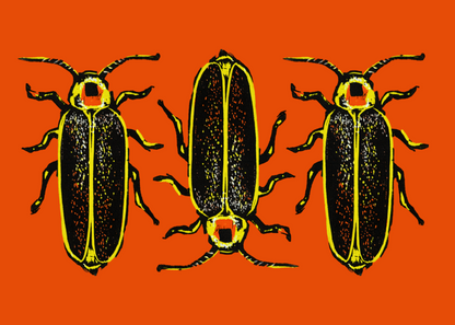 A graphic illustration of three black fireflies with yellow outlines and orange-red heads, arranged vertically on a solid orange background.