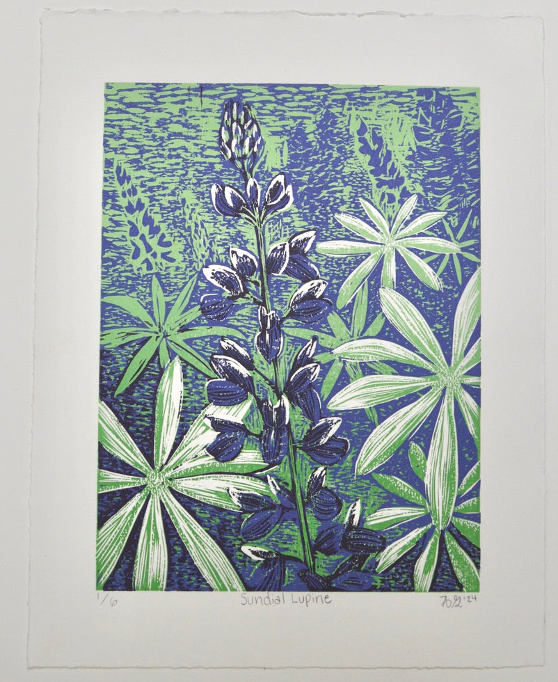 Sundial Lupine Reduction Print