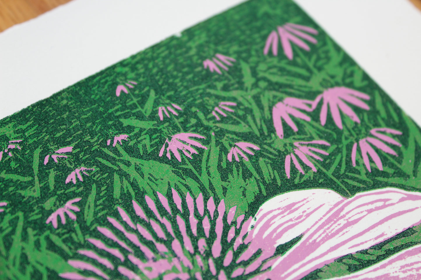 Echinacea Reduction Print