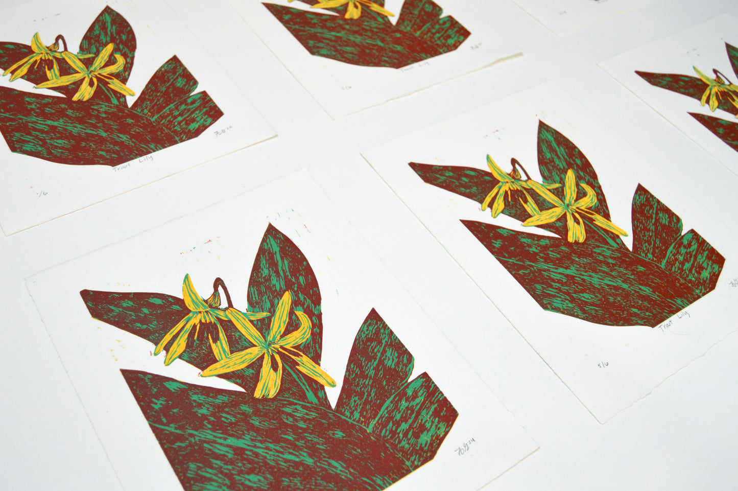 Trout Lily Reduction Print