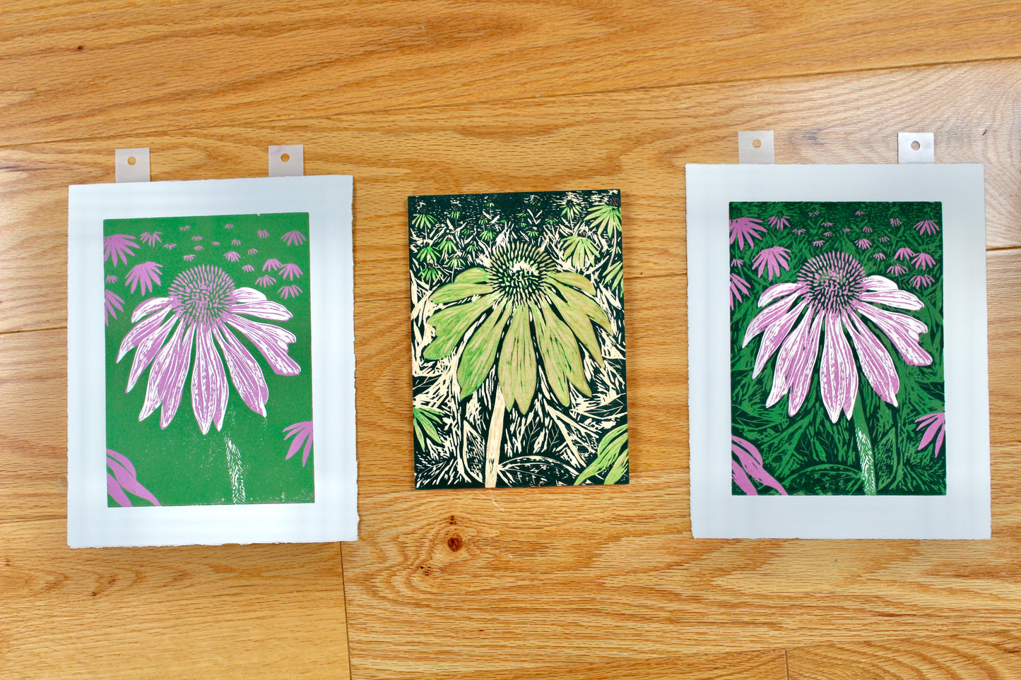 Echinacea Reduction Print