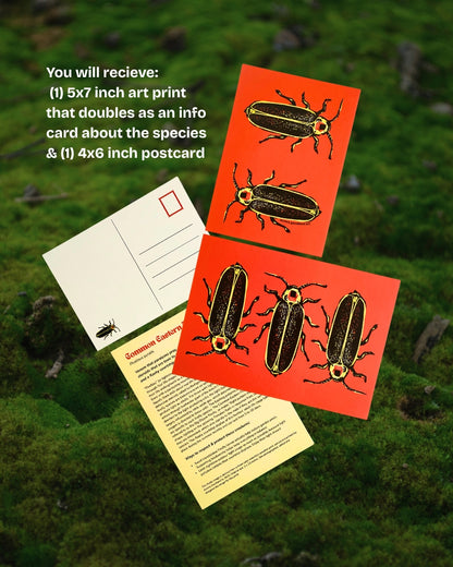 Art Print + Postcard from a Past Mailing