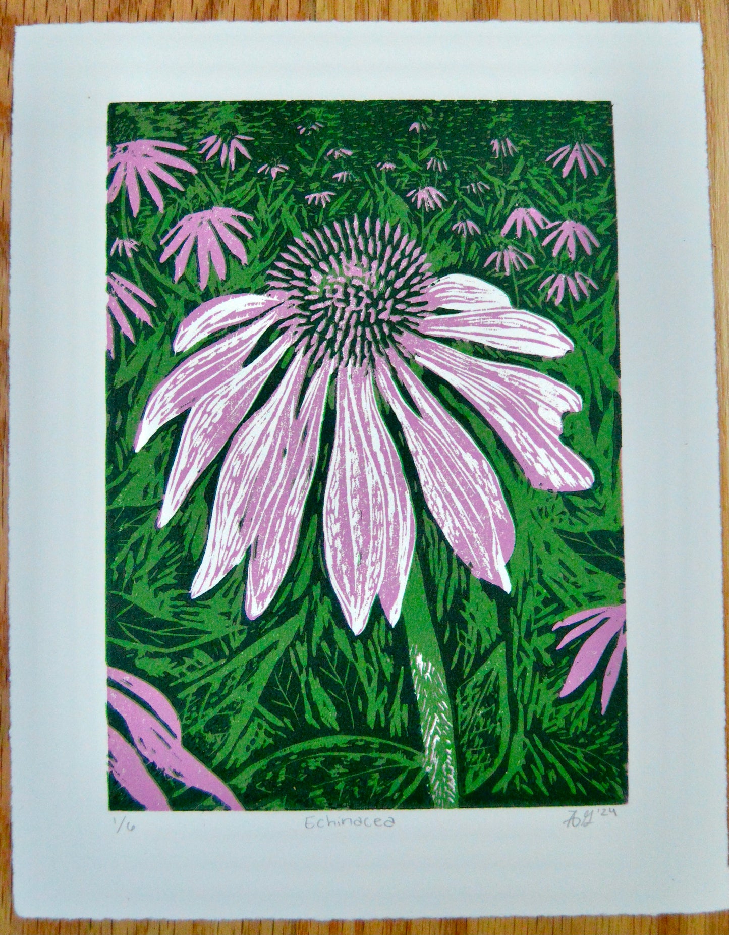 Echinacea Reduction Print