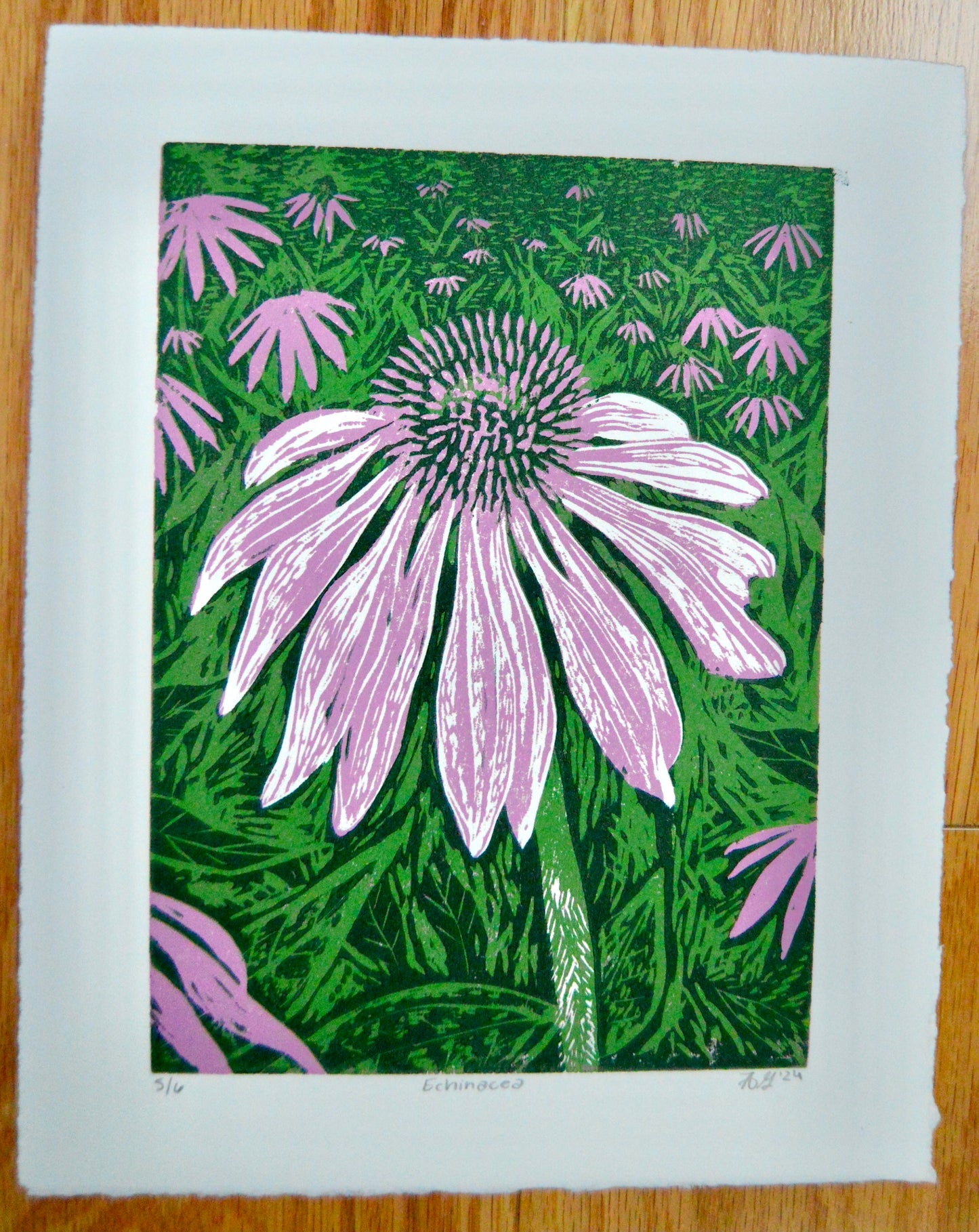 Echinacea Reduction Print