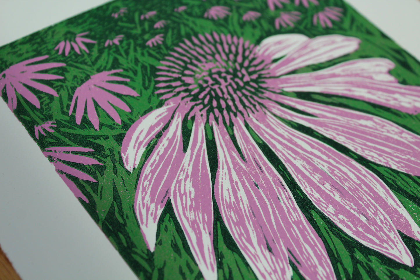 Echinacea Reduction Print