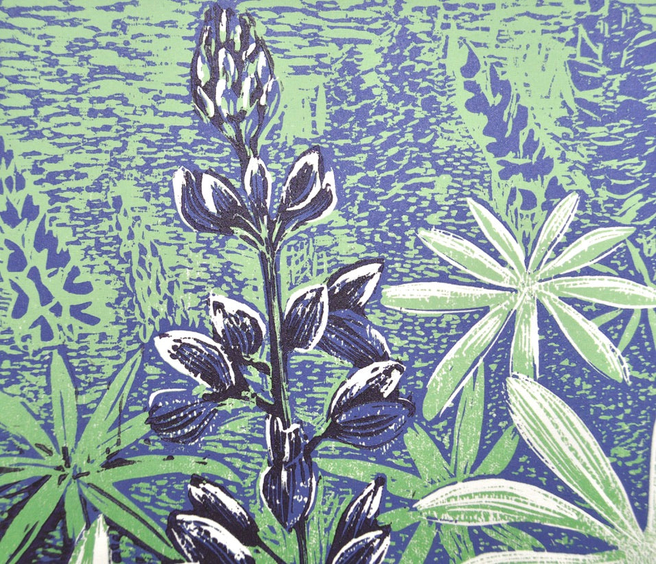 Sundial Lupine Reduction Print