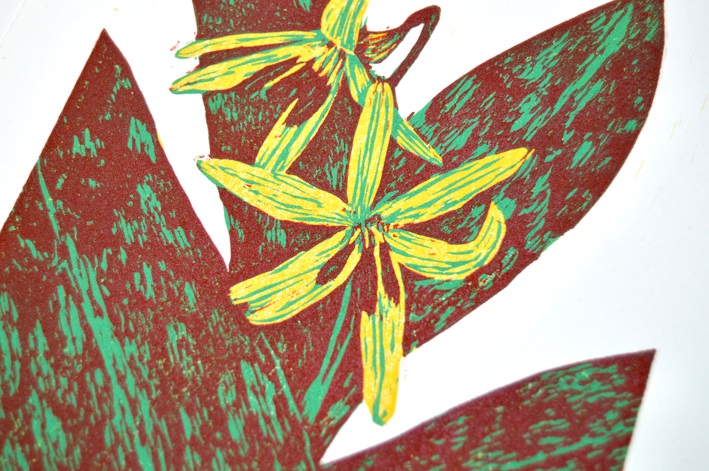 Trout Lily Reduction Print