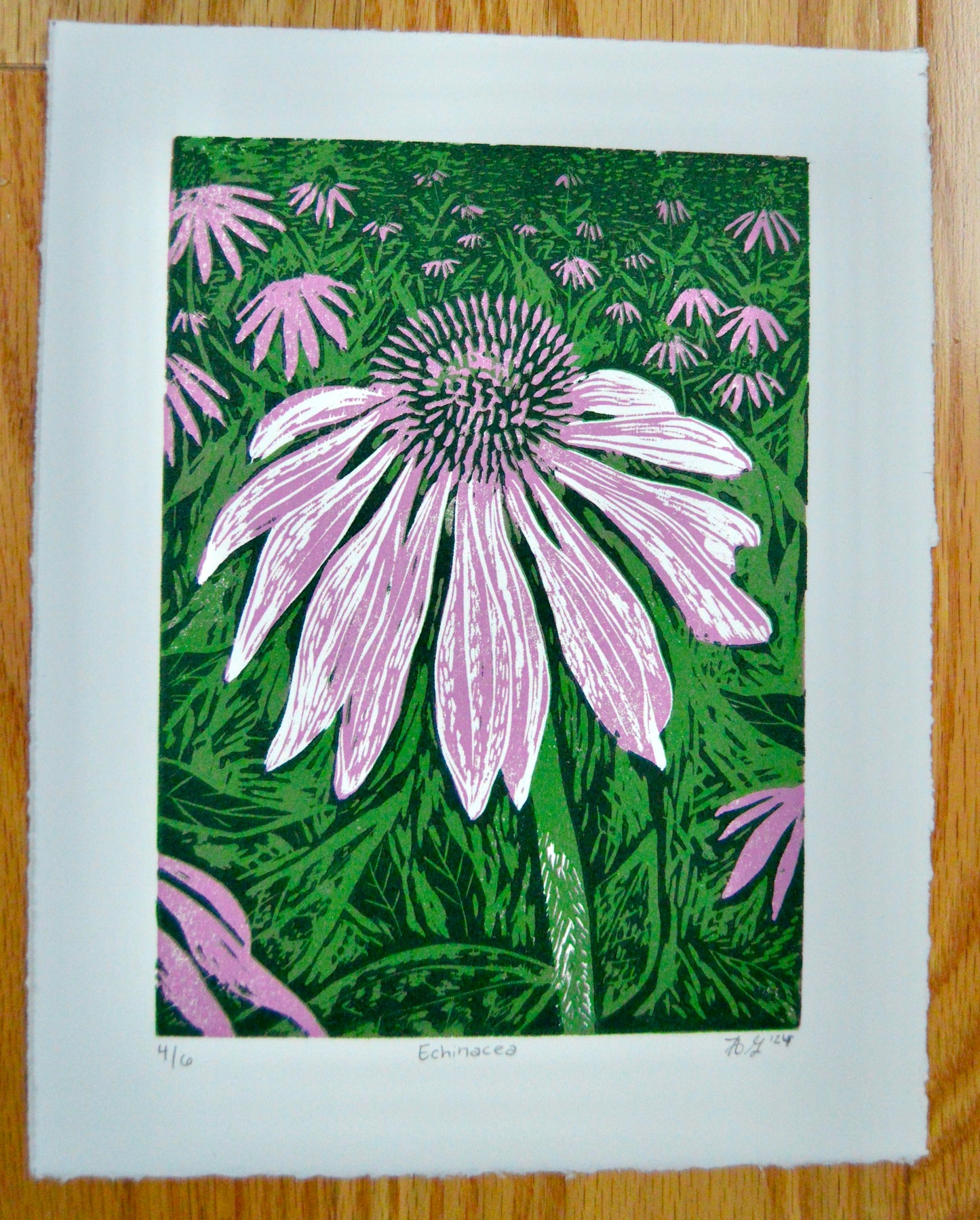 Echinacea Reduction Print