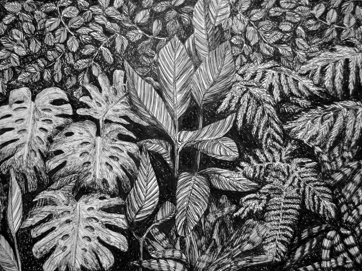 Botanical Garden Drawing