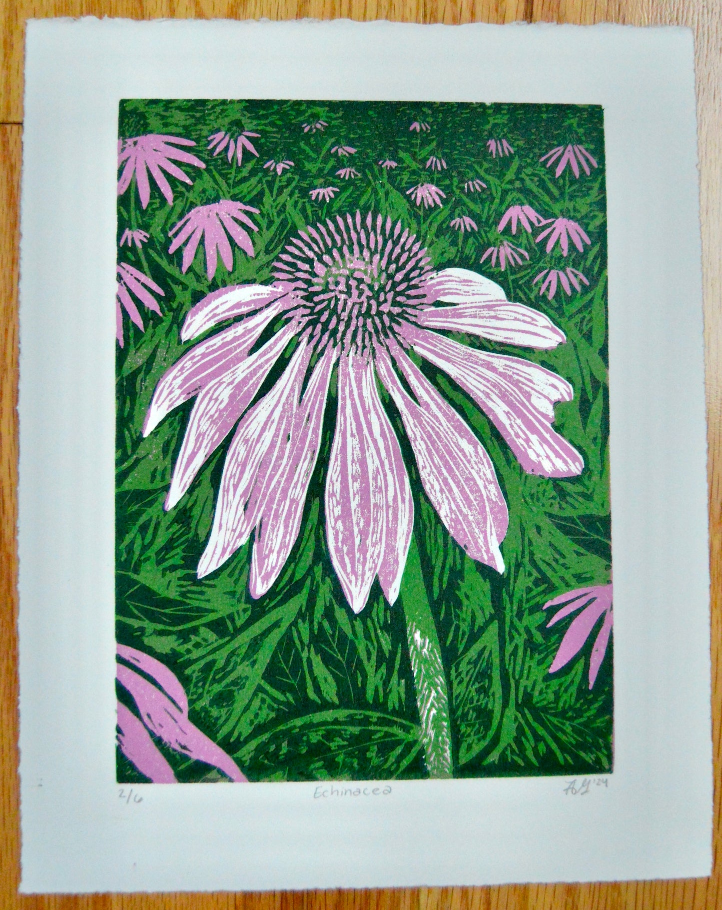 Echinacea Reduction Print