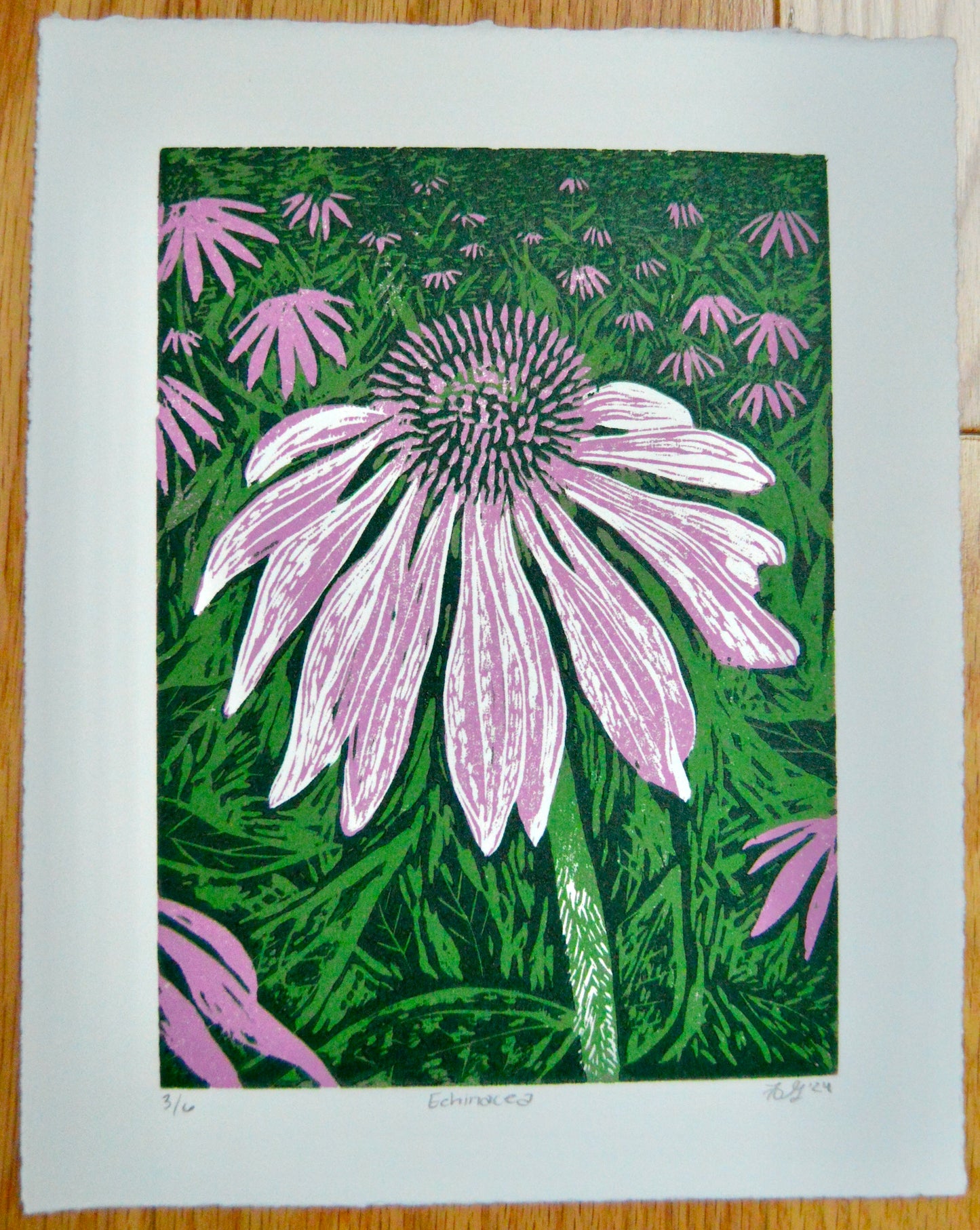 Echinacea Reduction Print