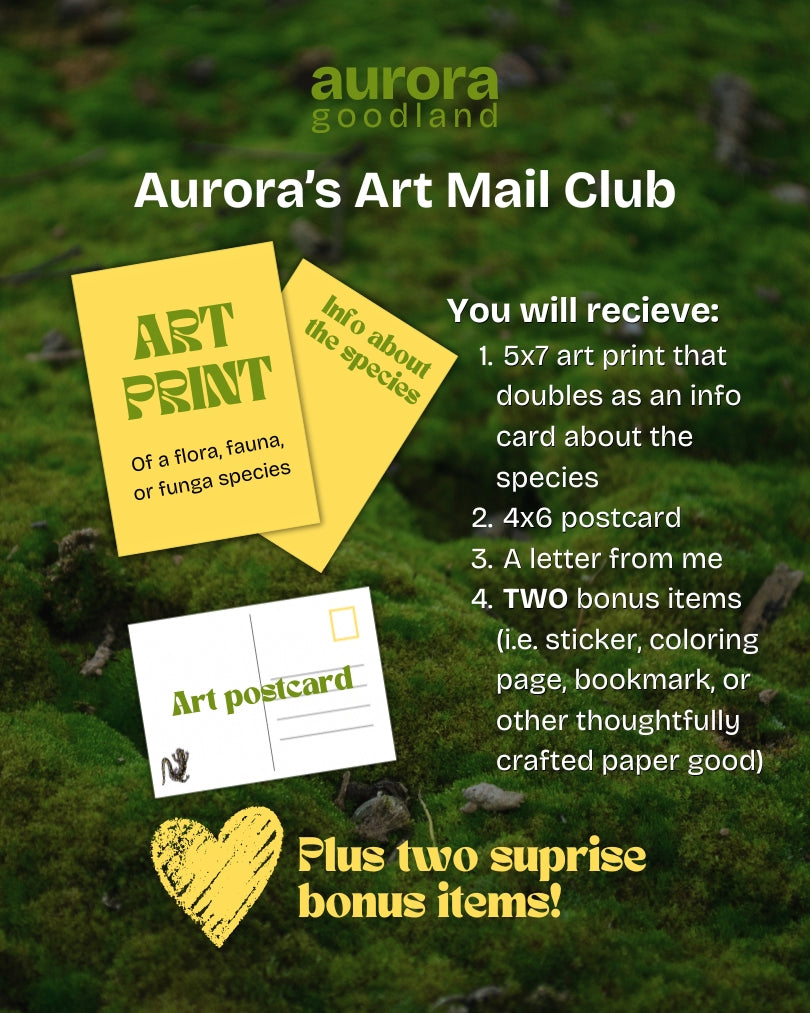 SUBSCRIBE HERE! Aurora's Monthly Art Mail Club
