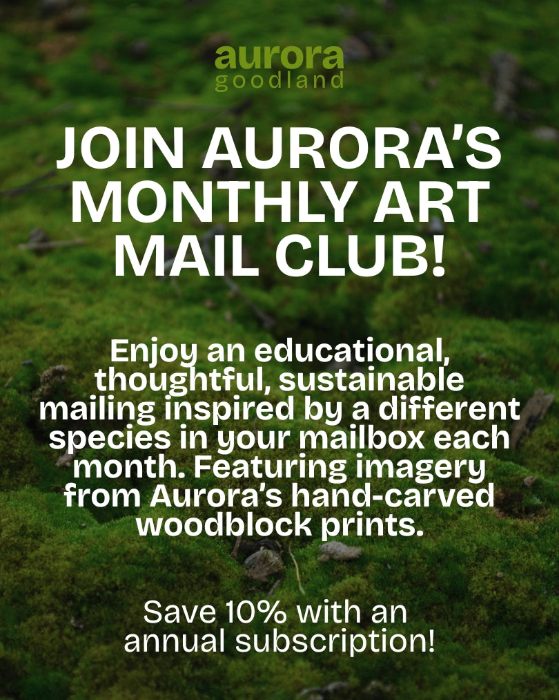 SUBSCRIBE HERE! Aurora's Monthly Art Mail Club