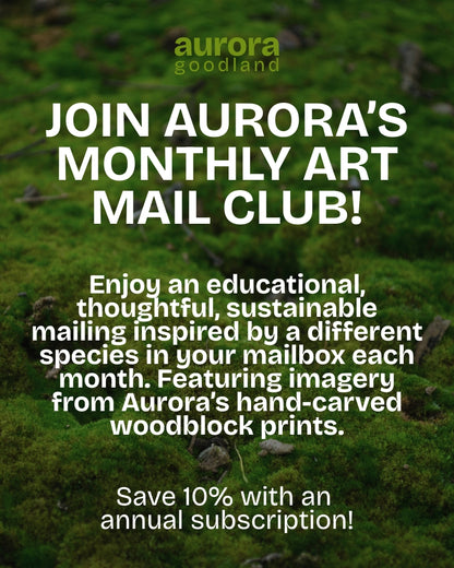 SUBSCRIBE HERE! Aurora's Monthly Art Mail Club