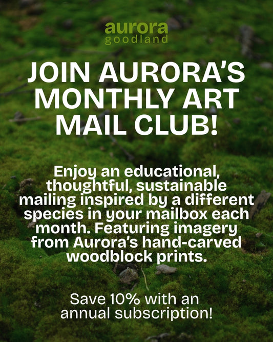 SUBSCRIBE HERE! Aurora's Monthly Art Mail Club