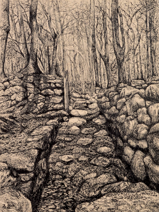 Weetamoo Woods Drawing